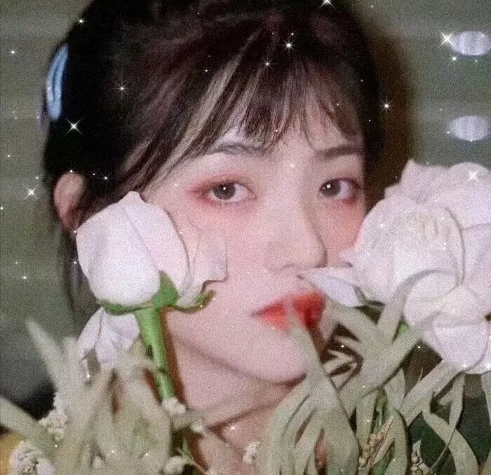 以藏